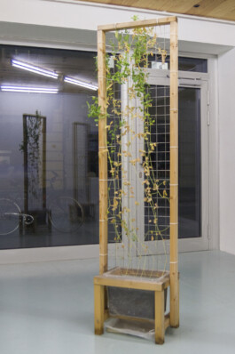 Jari Genser | Visual Artist