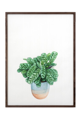 Jari Genser | Visual Artist