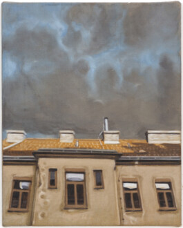 Jari Genser | Visual Artist