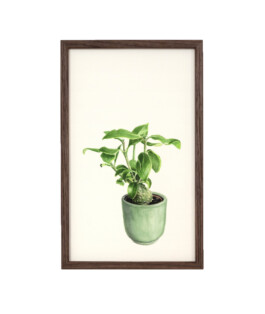 Jari Genser | Visual Artist