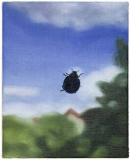 Jari Genser | Visual Artist