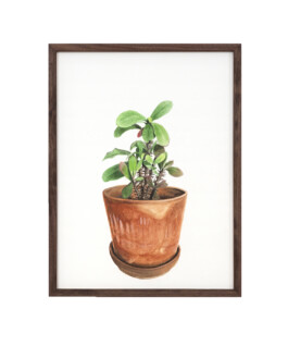 Jari Genser | Visual Artist