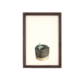 Jari Genser | Visual Artist