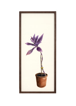 Jari Genser | Visual Artist