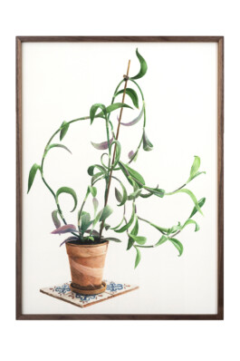 Jari Genser | Visual Artist