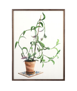 Jari Genser | Visual Artist