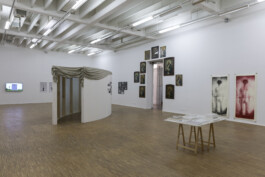 Jari Genser | Visual Artist