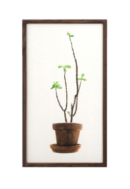 Jari Genser | Visual Artist