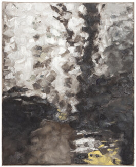 Jari Genser | Visual Artist