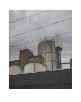 Jari Genser | Visual Artist