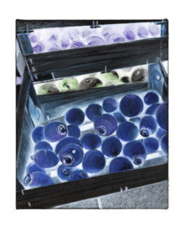 Jari Genser | Visual Artist