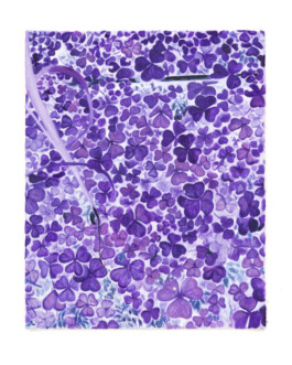 Jari Genser | Visual Artist