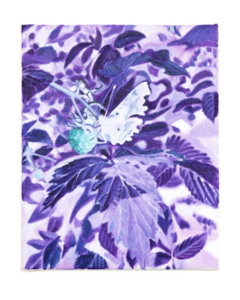 Jari Genser | Visual Artist