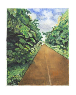 Jari Genser | Visual Artist