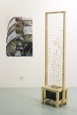 Jari Genser | Visual Artist