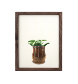 Jari Genser | Visual Artist