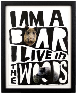 Jari Genser | Visual Artist