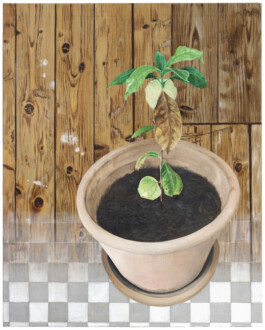 Jari Genser | Visual Artist