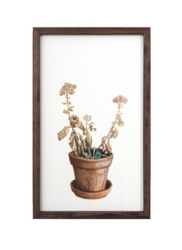 Jari Genser | Visual Artist