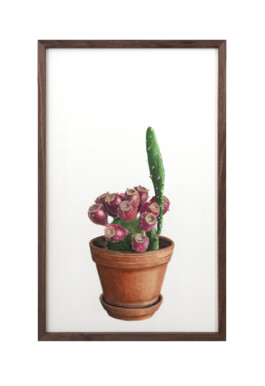 Jari Genser | Visual Artist