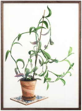 Jari Genser | Visual Artist