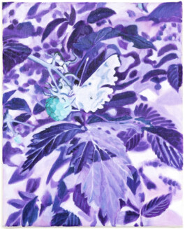 Jari Genser | Visual Artist