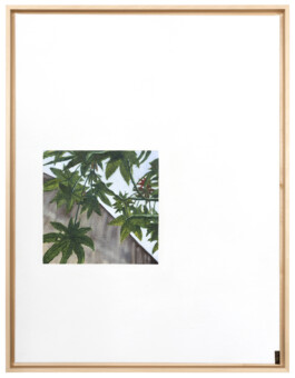 Jari Genser | Visual Artist