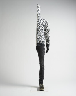 Jari Genser | Visual Artist