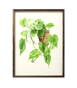Jari Genser | Visual Artist